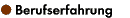 Berufserfahrung